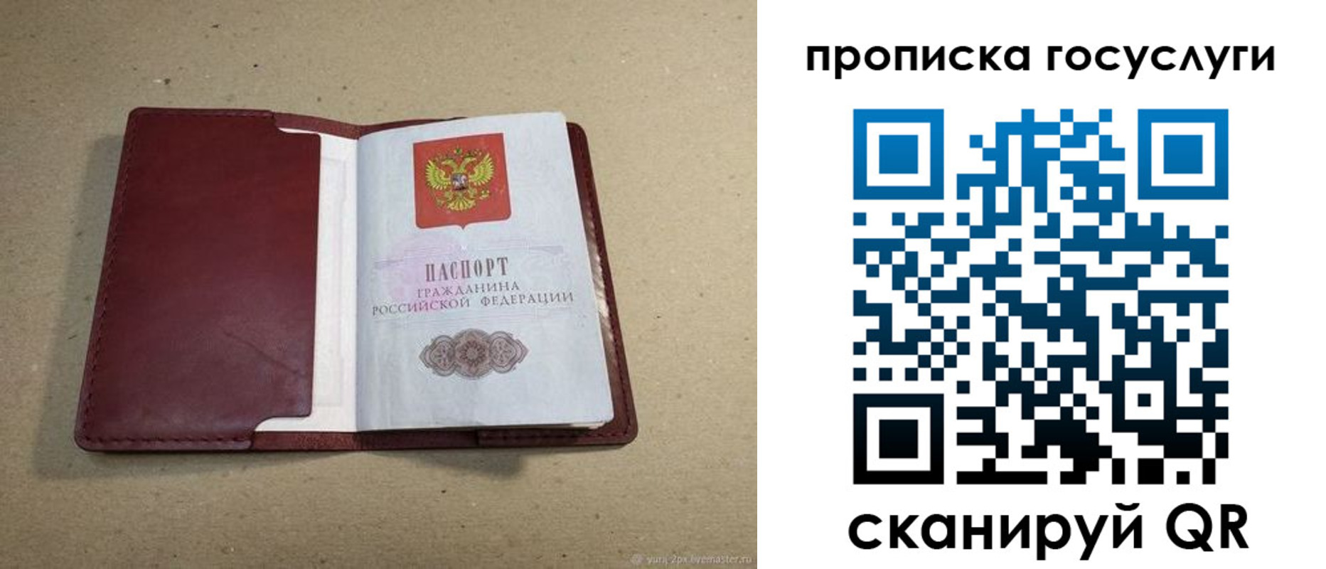 прописка поиск в Рудне